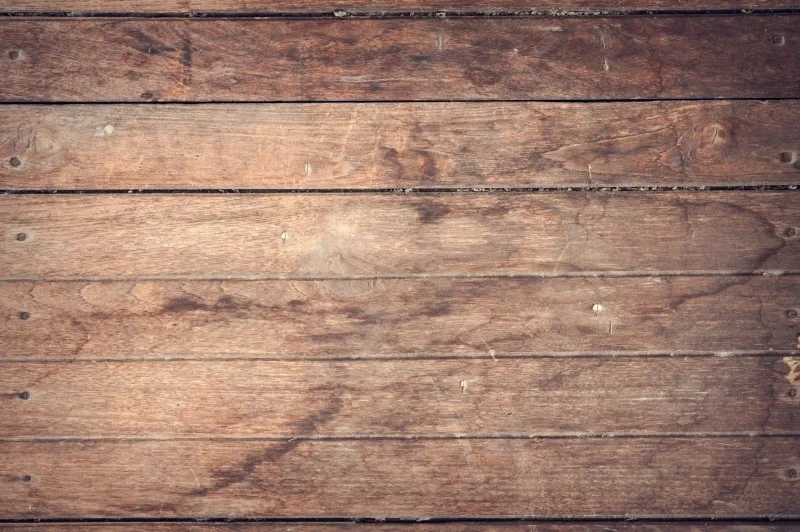 The Honeymoon Phase Is Real — And Here's When It Ends for Most Flooring Choices